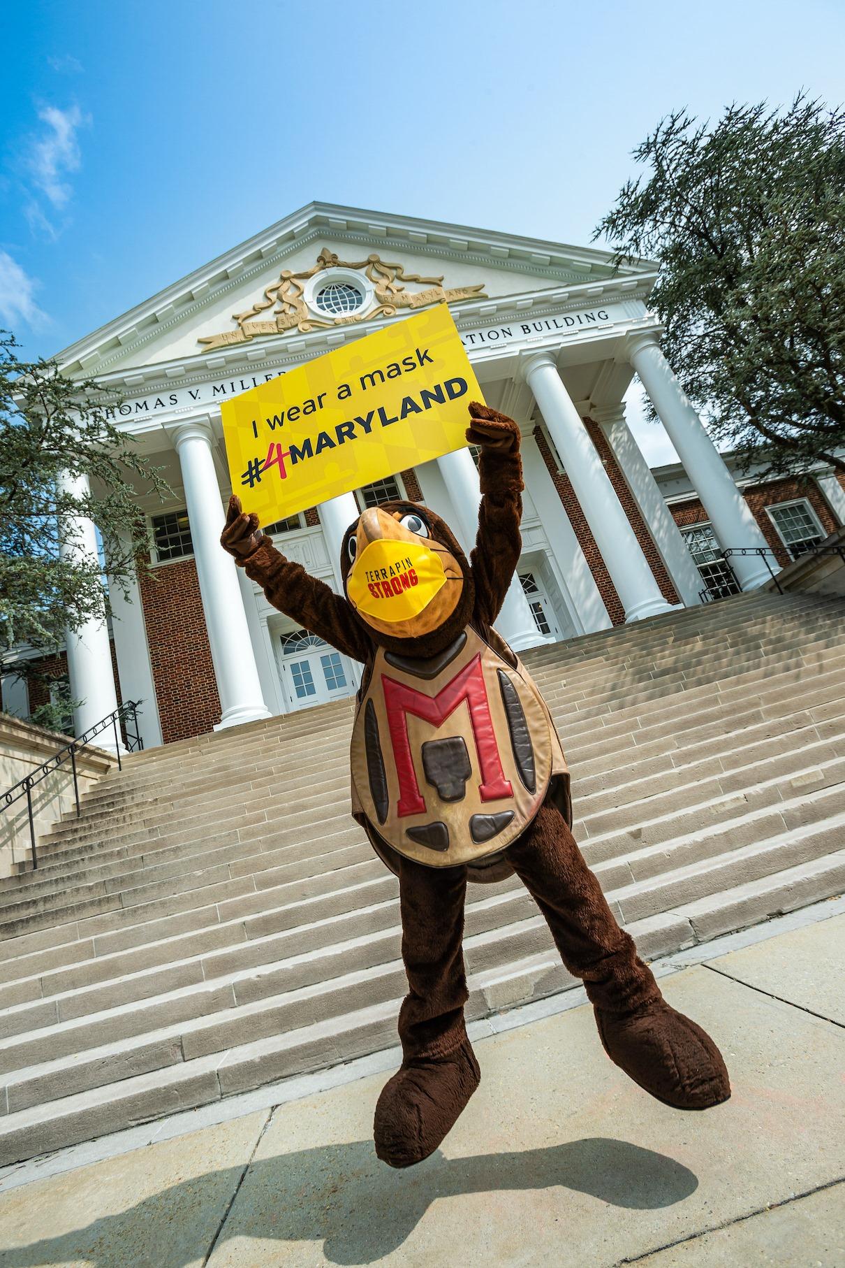 Testudo with Mask