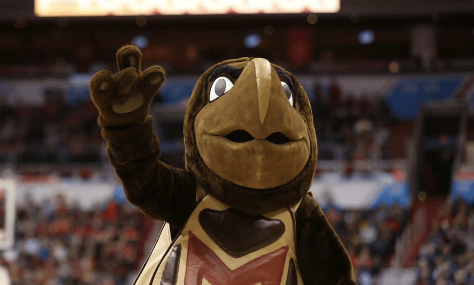 Testudo